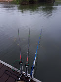 14530443dae3f482cb39723b566acae2_1621143108_8627.jpg