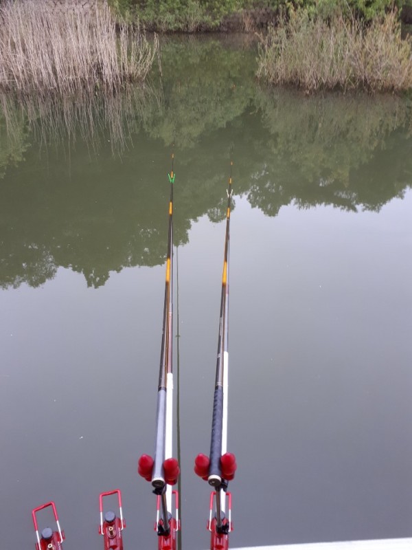 147225f04e56b7affba9762a31188e25_1589928457_9599.jpg