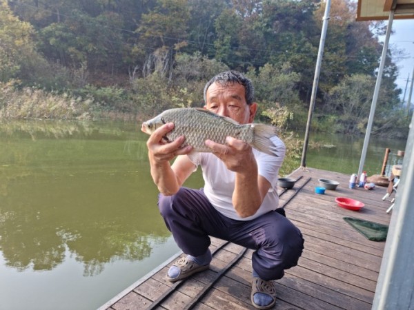 3d31269cc7786db4b5b1bb960892c2eb_1667283978_9647.jpg