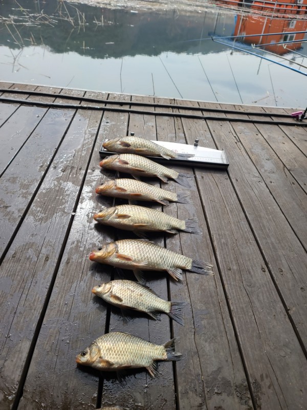 42f1350232dd09248fe334117533576b_1648211712_1716.jpg