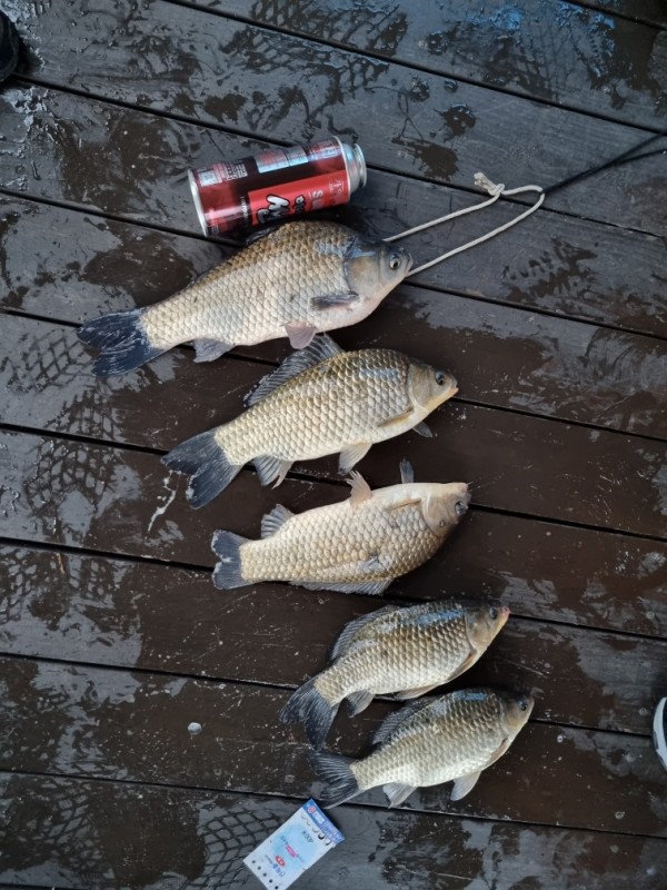 e290e6729cc490c865bbd6f6170ea2b4_1649822481_1243.jpg