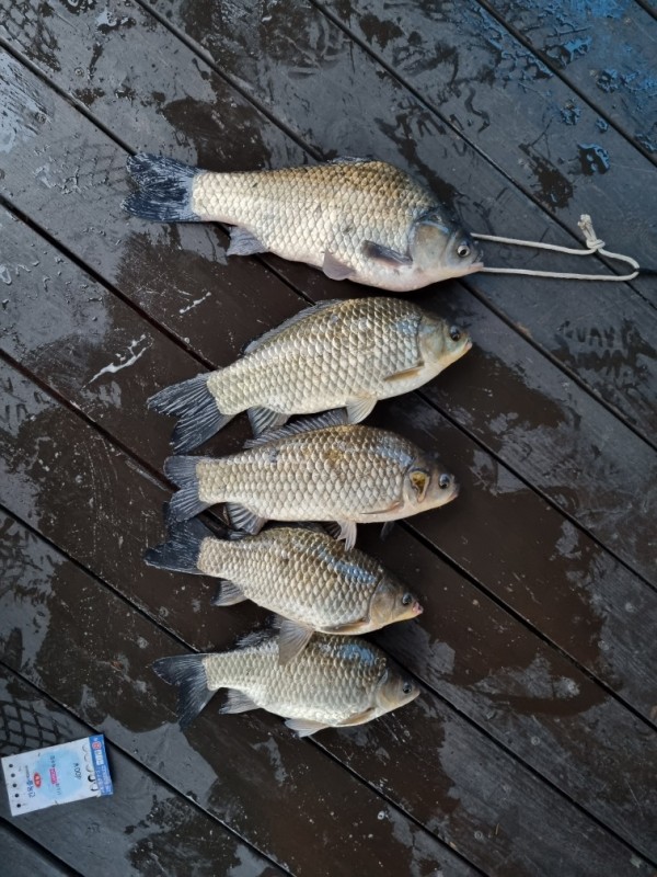 e290e6729cc490c865bbd6f6170ea2b4_1649822481_3261.jpg